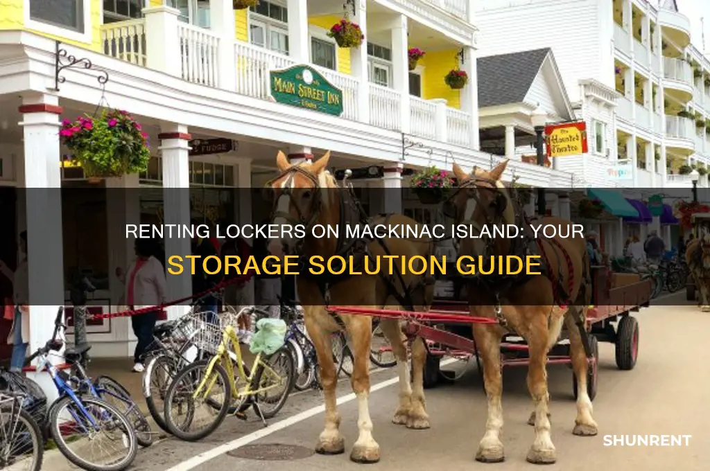is there lockers for rent on mackinac island