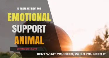 Emotional Support Animals: Understanding Pet Rent Policies and Fees