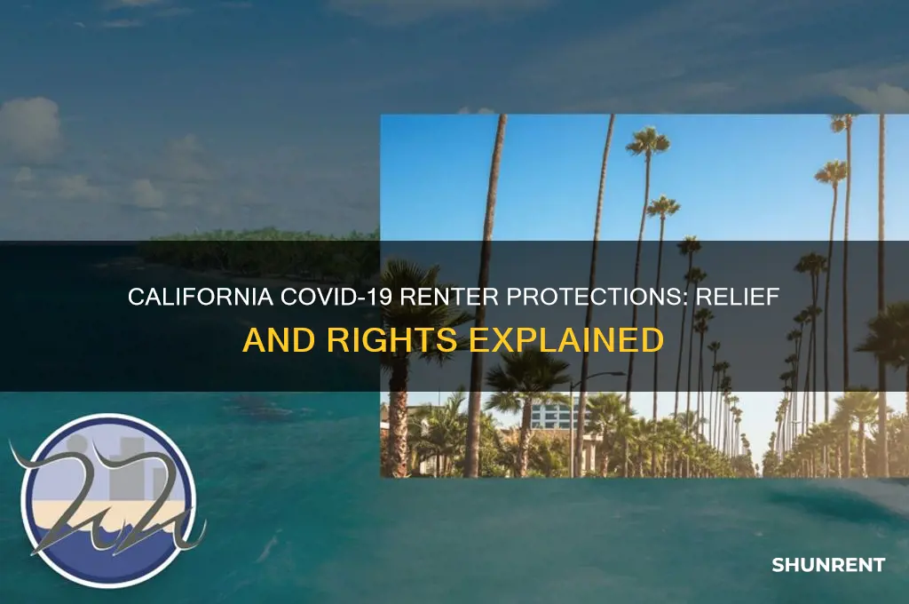 is there renter protection in california covid 19 relief