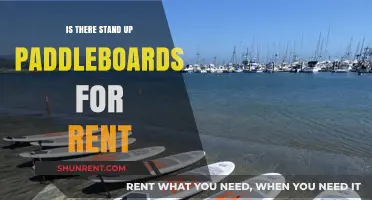 Renting Stand Up Paddleboards: Your Guide to SUP Rentals Nearby