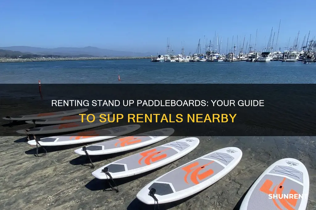 is there stand up paddleboards for rent