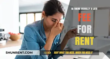 Late Rent Fees: Understanding Common Penalties for Delayed Payments
