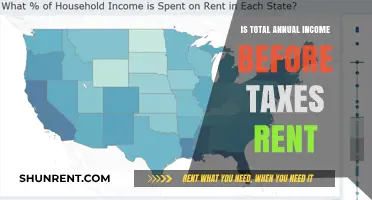 Understanding Total Annual Income: Pre-Tax Earnings and Rent Considerations
