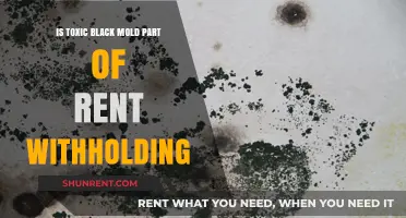 Toxic Black Mold: Grounds for Rent Withholding? Know Your Rights
