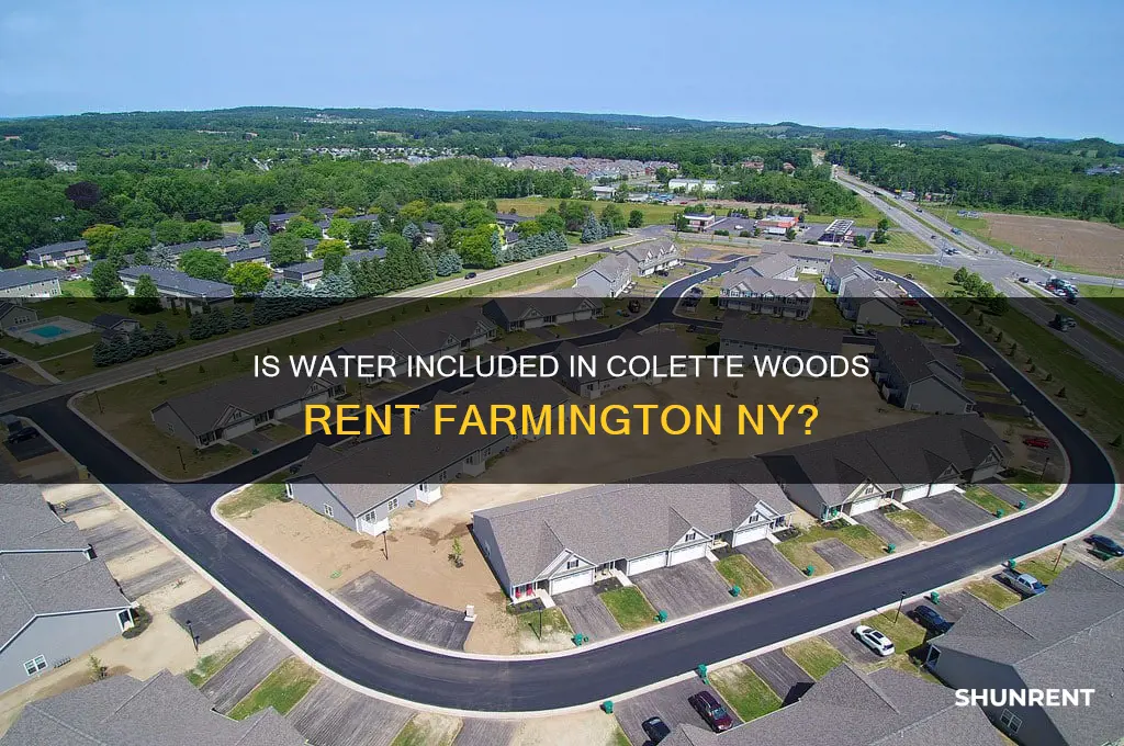is water covered in colette woods rent farmington ny