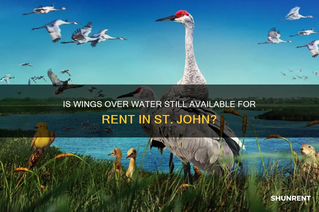 is wings over water still for rent st john