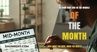 Mid-Month Rent Due? Tips to Manage Your Budget Effectively