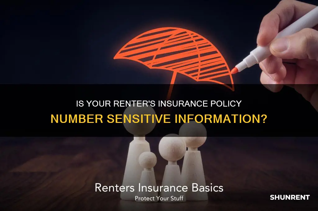 is your renter