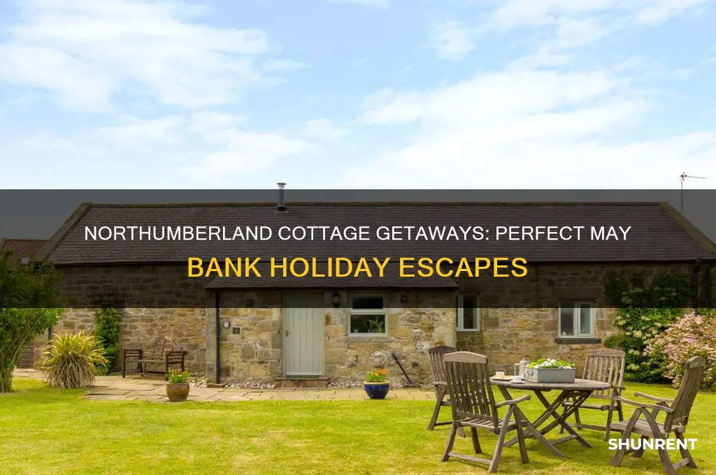 may bank holiday cottages to rent in northumberland