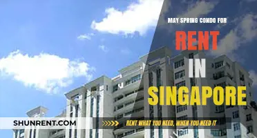 Discover Your Dream May Spring Condo for Rent in Singapore