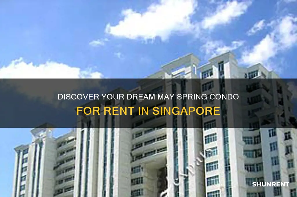 may spring condo for rent in singapore