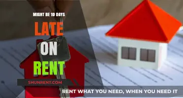 Late Rent Alert: Navigating 10-Day Delays and Solutions