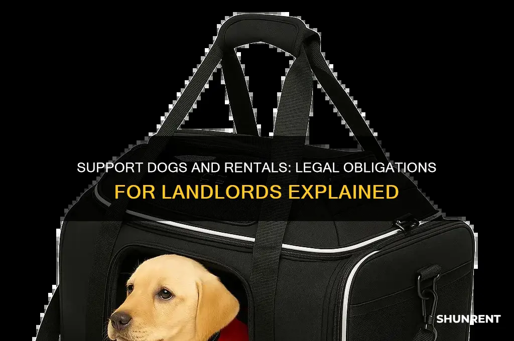 must i rent to someone with a support dog 3f