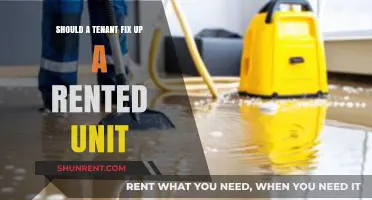 Tenant Responsibilities: Should You Fix Up Your Rented Unit?
