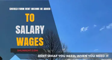Should Farm Rent Income Boost Your Salary? A Financial Debate