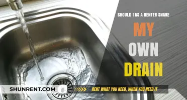 Should Renters Snake Their Own Drains? Pros, Cons, and Risks Explained