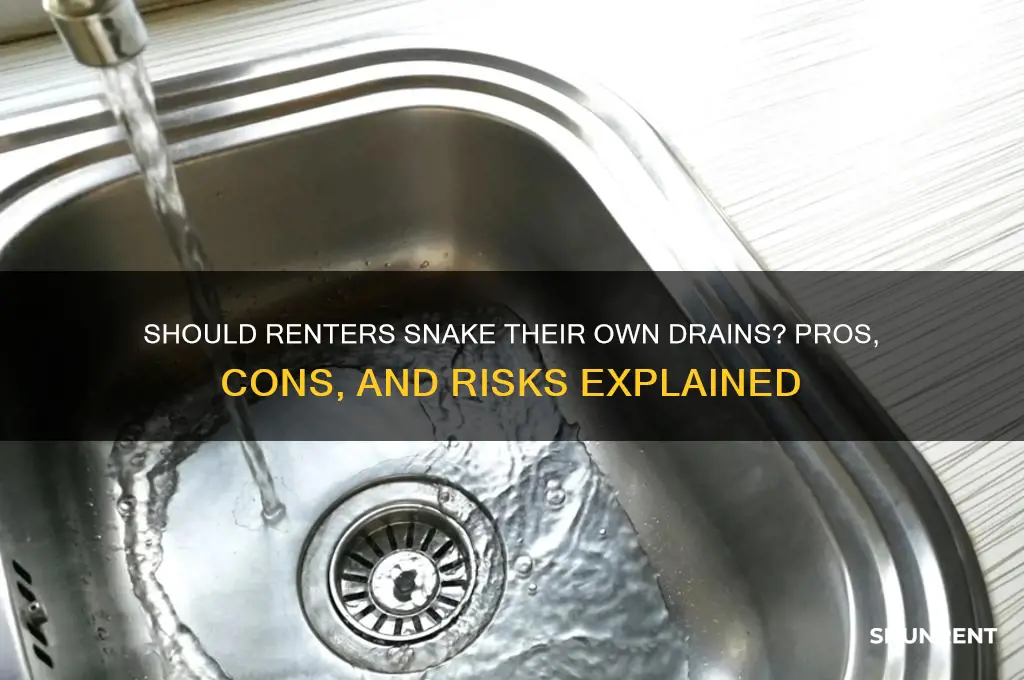 should i as a renter snake my own drain