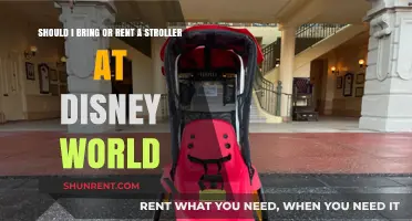 Stroller Dilemma: Bring Your Own or Rent at Disney World?