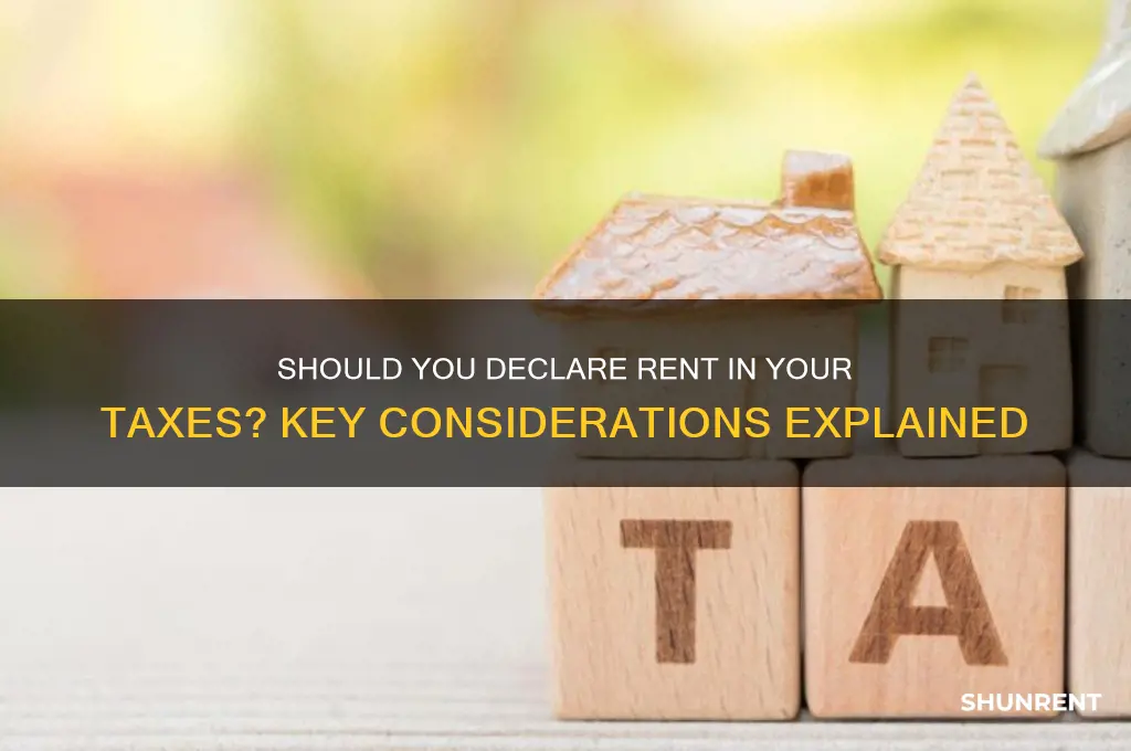 should i declare the rent in my taxes