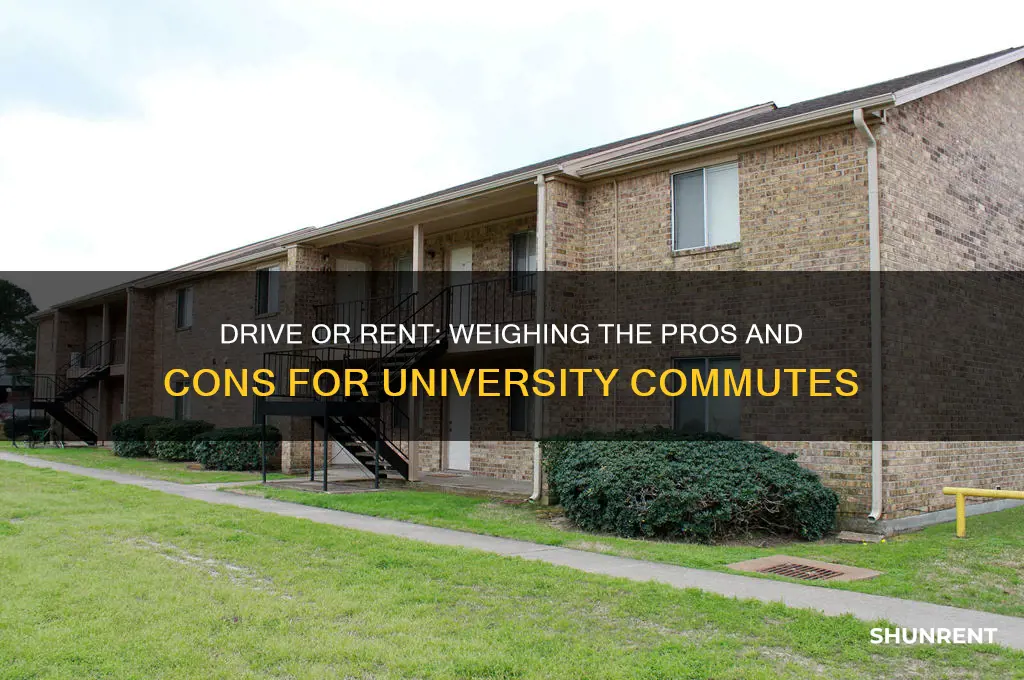 should i drive to university or rent