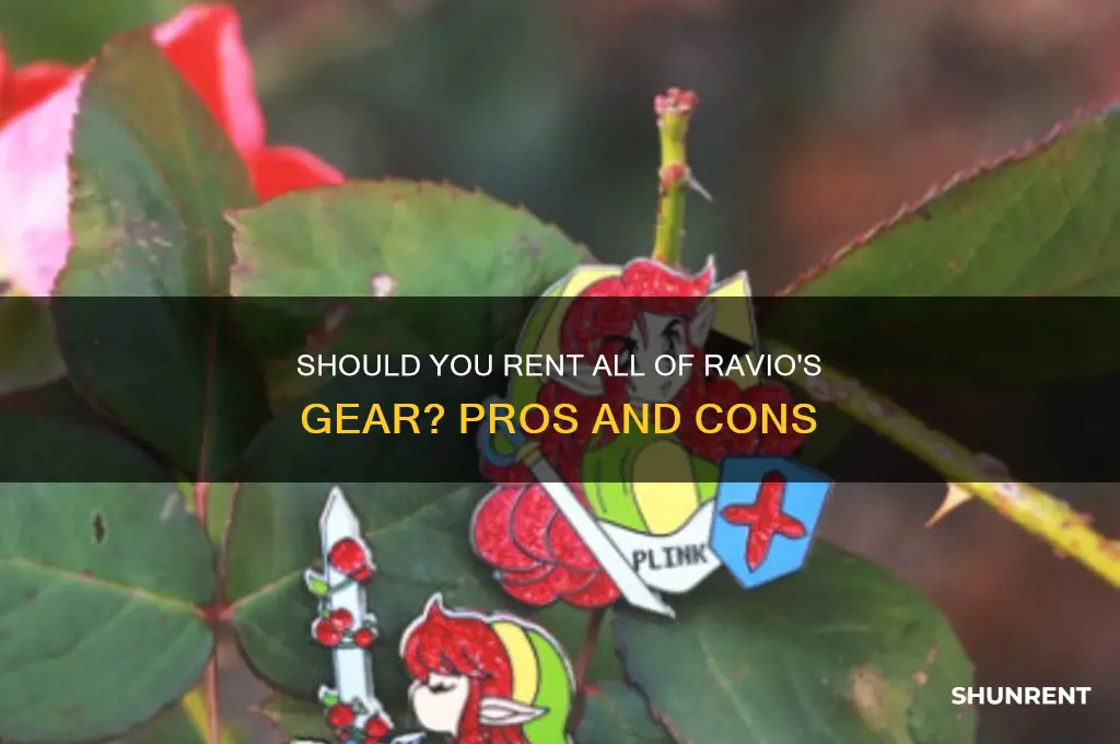 should i just rent all of ravio