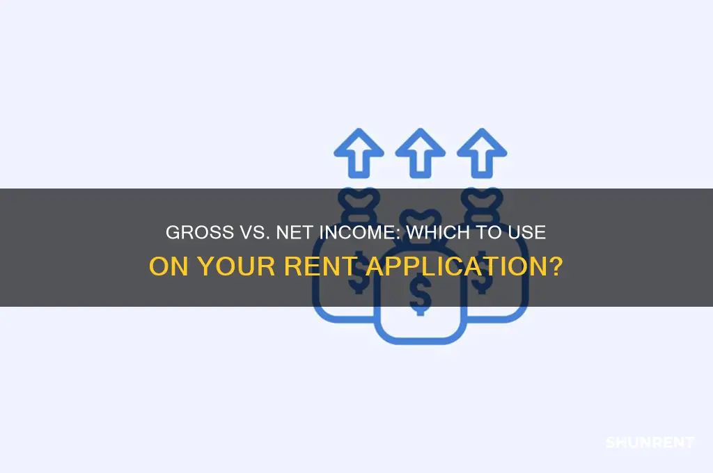 should i put gross or net income rent application