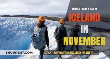 Renting a 4x4 in Iceland: November Travel Essential or Optional?