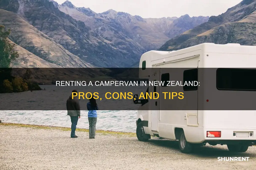 should i rent a campervan in new zealand
