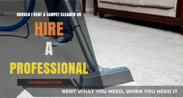 Rent vs. Hire: Which Carpet Cleaning Option is Right for You?