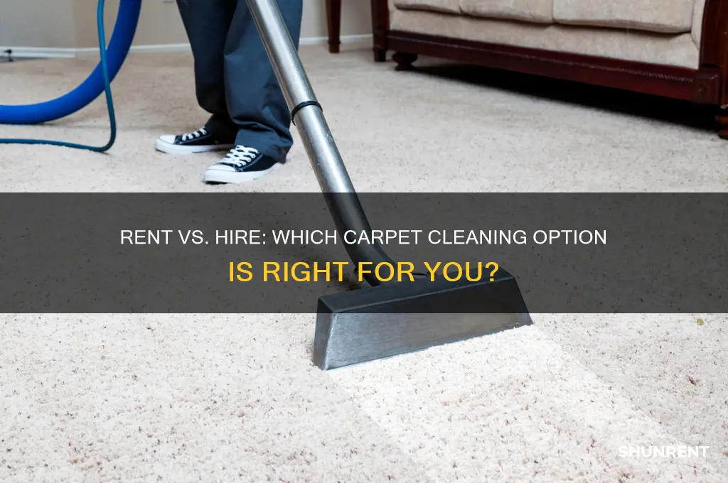 should i rent a carpet cleaner or hire a professional