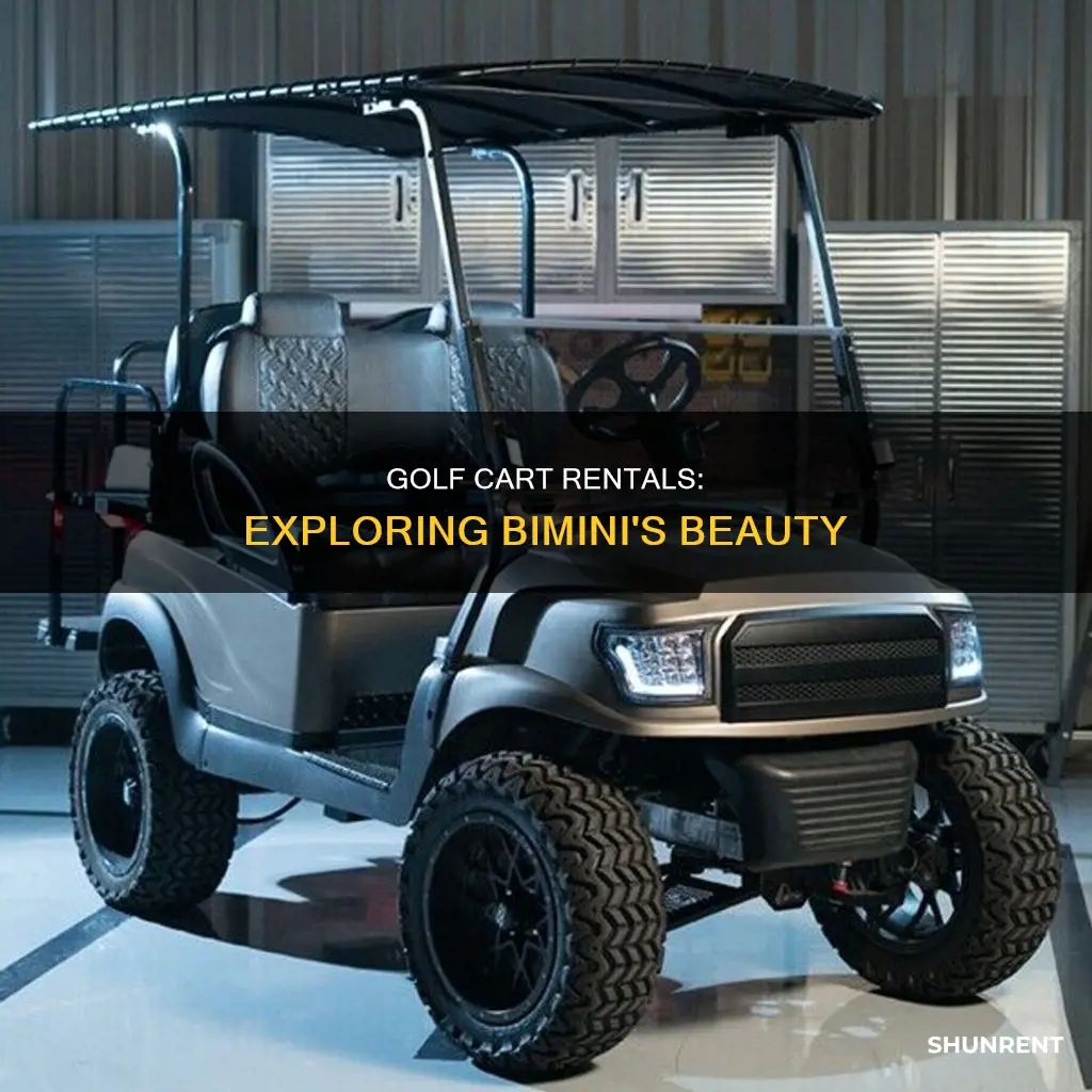 should i rent a golf cart in bimini