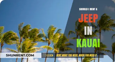 Should You Rent a Jeep in Kauai? Pros, Cons, and Tips