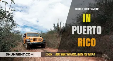 Should You Rent a Jeep in Puerto Rico? Pros, Cons, and Tips