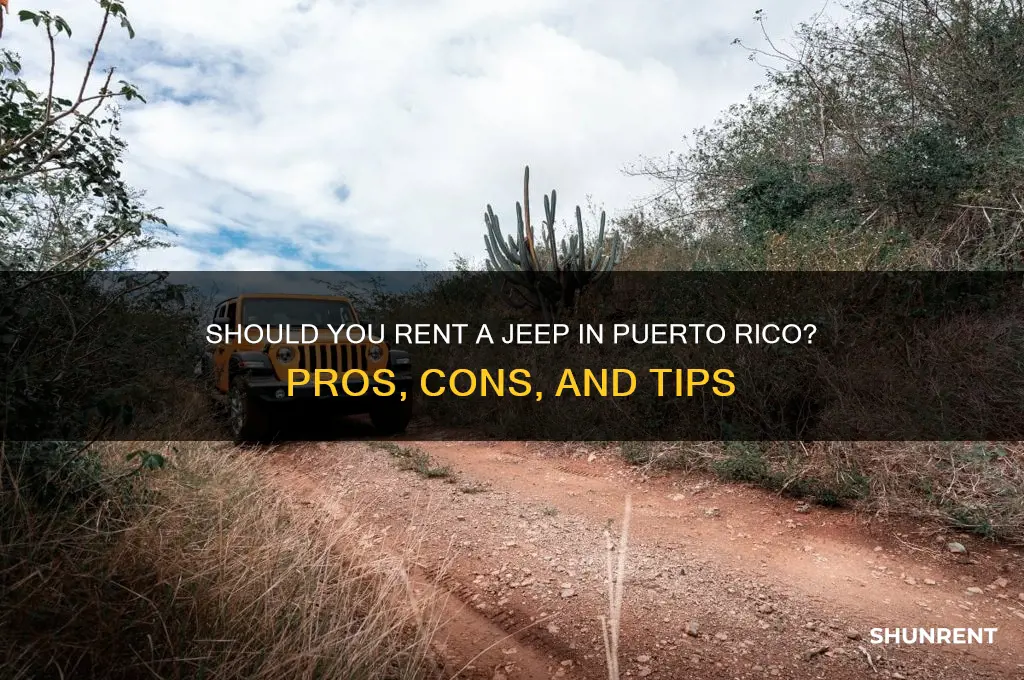 should i rent a jeep in puerto rico