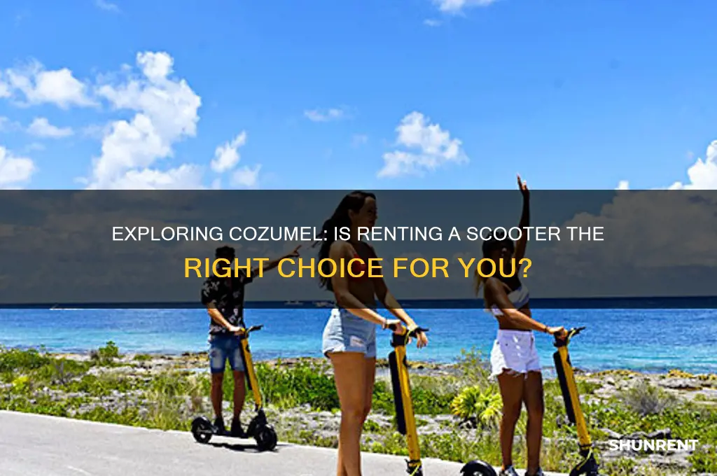 should i rent a scooter in cozumel