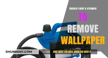 Renting a Steamer for Wallpaper Removal: Is It Worth It?