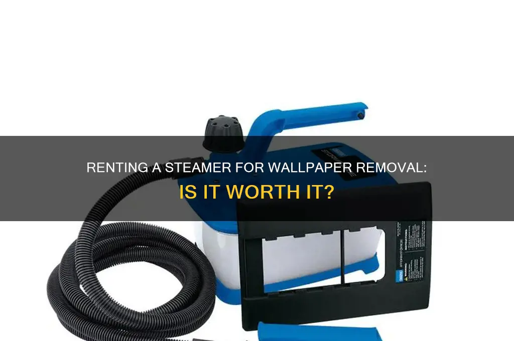 should i rent a steamer to remove wallpaper