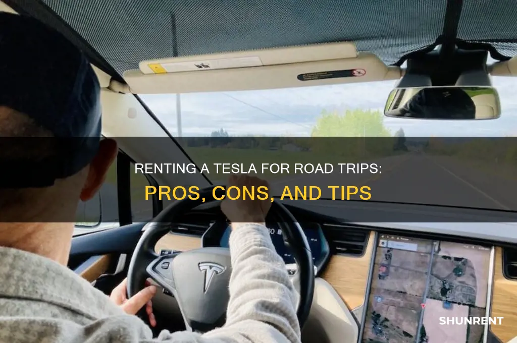 should i rent a tesla for a road trip