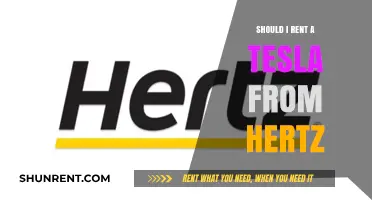 Should You Rent a Tesla from Hertz? Pros, Cons, and Tips