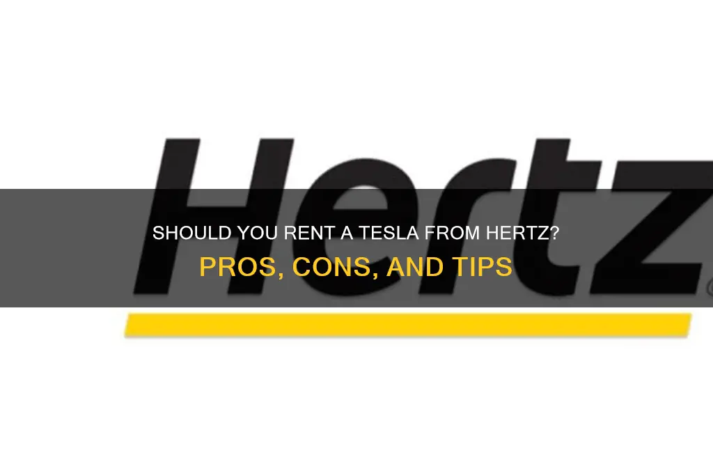 should i rent a tesla from hertz