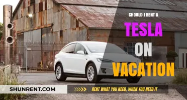 Should You Rent a Tesla for Your Next Vacation?