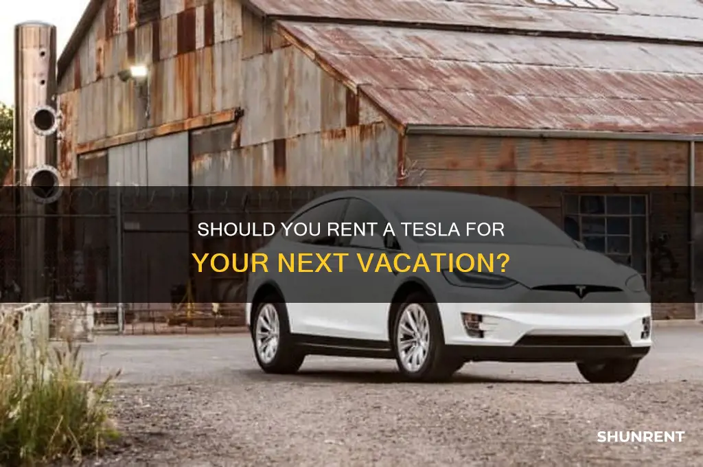 should i rent a tesla on vacation