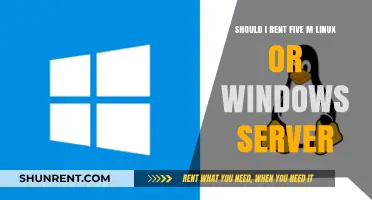 Linux vs. Windows Server: Which Should You Rent for Your Needs?