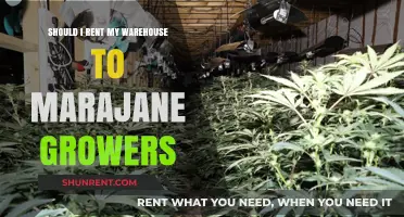 Renting Your Warehouse to Marijuana Growers: Pros, Cons, and Considerations