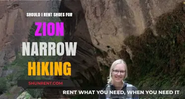 Renting Hiking Shoes for Zion's Narrow Trails: Pros and Cons
