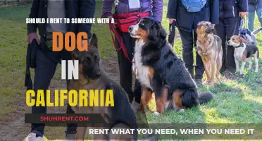 Renting to Dog Owners in California: Pros, Cons, and Legal Insights