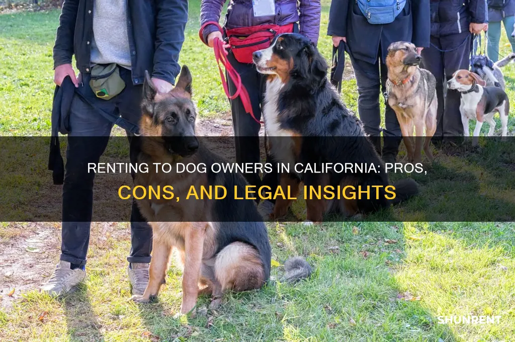 should i rent to someone with a dog in california