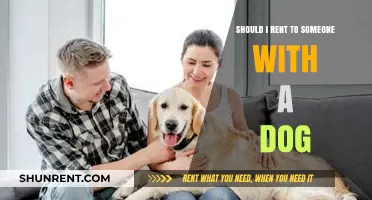 Renting to Dog Owners: Pros, Cons, and Key Considerations