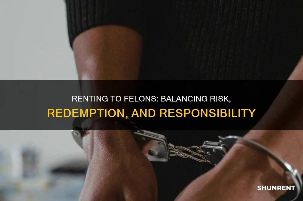 should i rent to someone with a violent felony