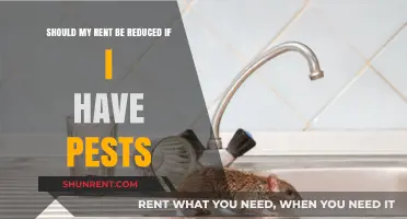 Pest Problems: Should Rent Be Reduced for Infested Properties?